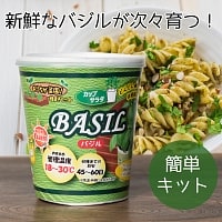 育てて食べるカップサラダ。- バジル栽培キット 【Forest】の商品写真