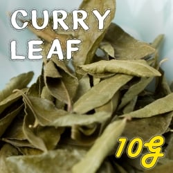 カレーリーフ - Curry Leaves 【10g袋入】(curry patta)(ID-SPC-857)
