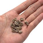 ネパールのヒマラヤ コーヒー - 100g【生豆】の商品写真