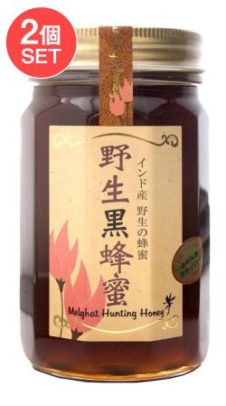 【送料無料・2個セット】インド産 野生黒蜂蜜  【500g】【シタァール】の商品写真