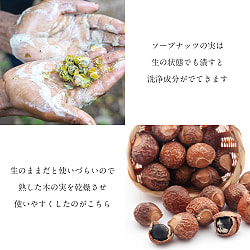 【お得な約500gセット(約250gパック×2個)】ソープナッツ　パウダー　木の実せっけん　Aritha Powder [250g] - サブ5