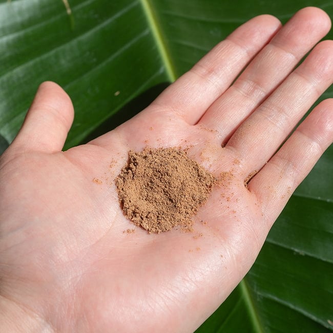 【お得な約500gセット(約250gパック×2個)】ソープナッツ　パウダー　木の実せっけん　Aritha Powder [250g] 7 - きめ細やかなパウダーになっています