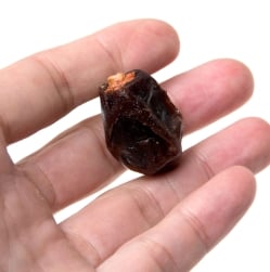 【4個セット】クナイジ種 種入・濃厚 粒デーツ - 250g【DATE CROWN】 - サブ5