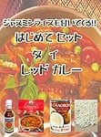 はじめてセット - タイ レッド カレーの商品写真