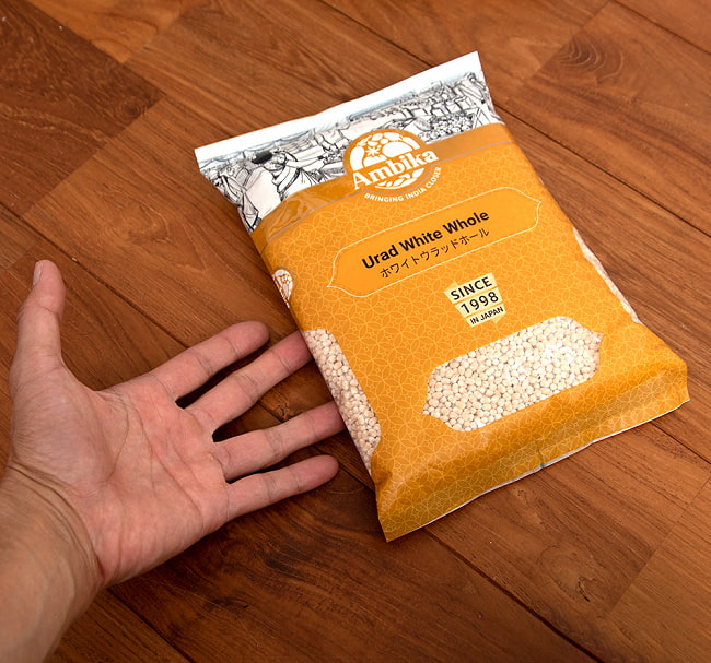 【5個セット】ホワイト ウラッド ホール　Urad White Whole【1kgパック】 6 - サイズ比較のために手に持ってみました