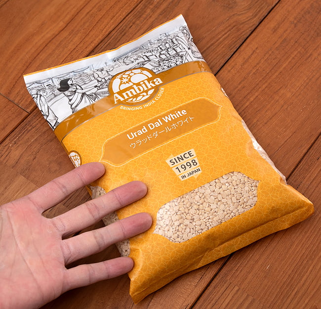 【6個セット】黒豆 ホワイトウラッドダル(引き割り）White Urad Dal split 【1kgパック】 7 - サイズ比較のために手に持ってみました