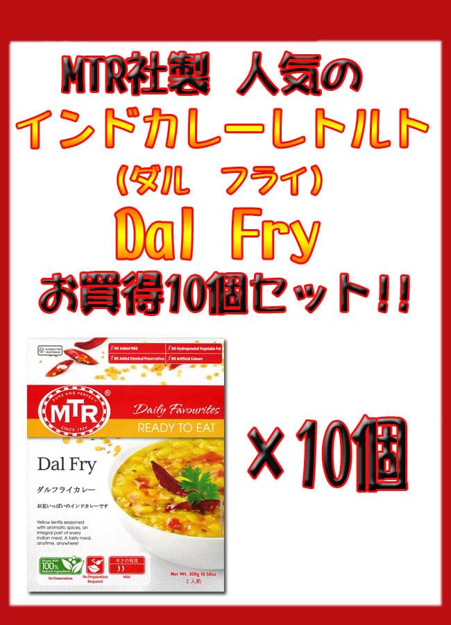 Dal Fry 豆カレー 10個セット / レトルトカレー MTR インド料理 緑豆 アジアン食品 エスニック食材