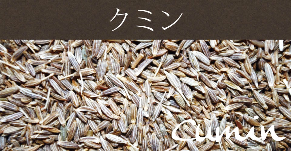 クミン パウダー - Cumin Powder 【200g 袋入り】の上部写真説明