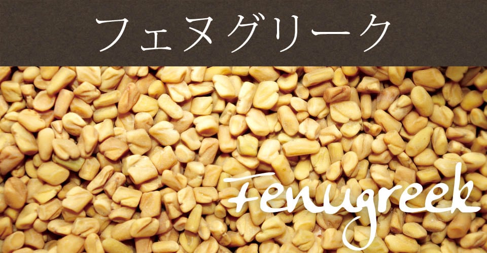 フェヌグリーク ホール - Fenugreek Whole 【20gパック】の上部写真説明