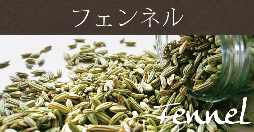 フェンネル シード - Fennel Seed 【200g袋入】の上部写真説明