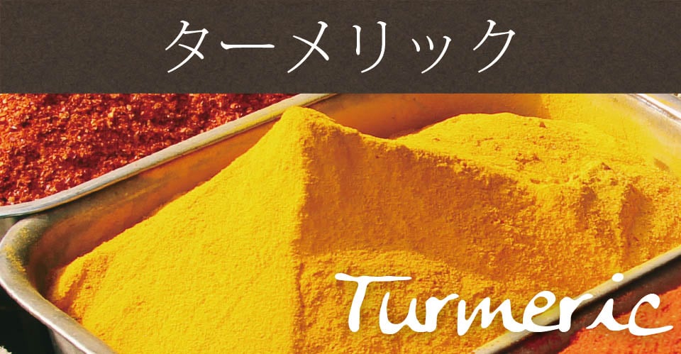 ターメリックパウダー Turmeric Powder タイ産【50gボトル】の上部写真説明