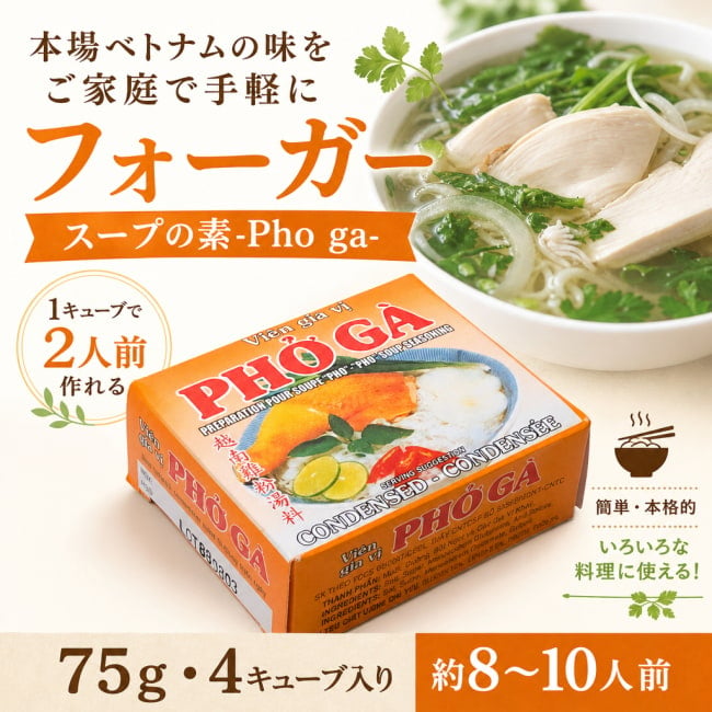 ベトナム料理,ベトナム,ライスヌードル,フォー,スープ,フォーガ