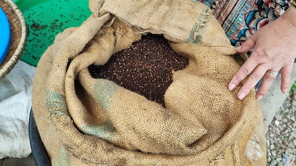 【高品質】ヒマラヤ山椒 - ティムール(Timmur) 50g2枚目の下部説明写真です