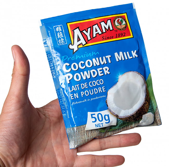 ココナッツミルク パウダー 50g - Coconut Milk Powder【AYAM】 3 - サイズ比較のために手に持ってみました