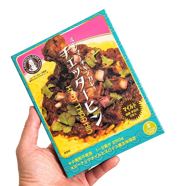 【マイルド】ミャンマーチキンカレー　チェッターヒン - Kyet Thar Hin 4 - サイズ比較のために手に持ってみました