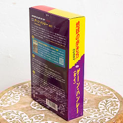 地球の歩き方監修のカレー　タイの ゲーンハンレー - サブ2