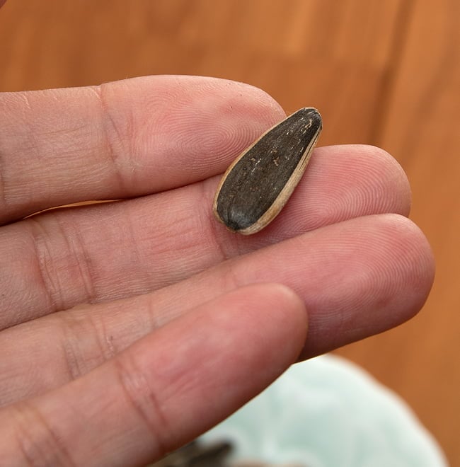 食用ひまわりの種 - 五香味 6 - 手に持ってみました