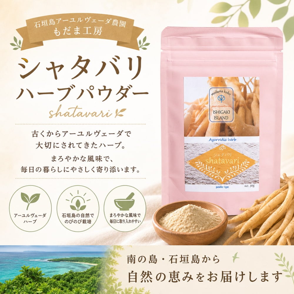 シャタバリ ハーブパウダー shatavari 30g【石垣島アーユルヴェーダ 