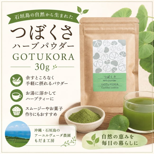 つぼくさ,GOTUKORA,ハーブ,ハーブパウダー,アーユルヴェーダ、アーユルヴェーダのハーブ