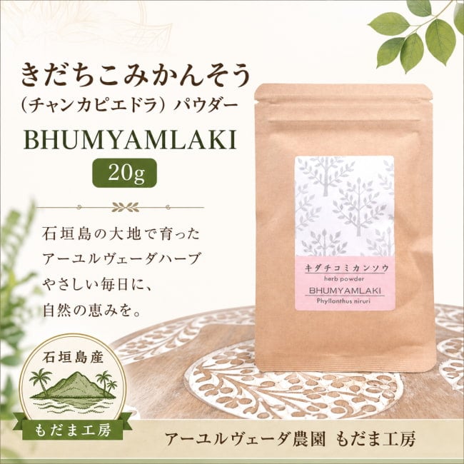 きだちこみかんそう,チャンカピエドラ,BHUMYAMLAKI,ハーブパウダー,アーユルヴェーダ、アーユルヴェーダのハーブ