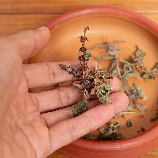 森に育つトゥルシー ヴァナ・トゥルシーのハーブティ 12g 【焚き火屋さん】 5 - 手に持つだけでとてもいい香りがします