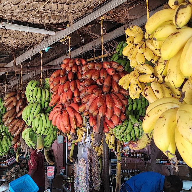 小さなバナナを揚げてマサラ味に - Long Masala Banana Chips 170g【Chhedas】 7 - 赤いバナナ、緑のバナナ、黄色のバナナ、茶色のバナナ。色々なバナナがあります
