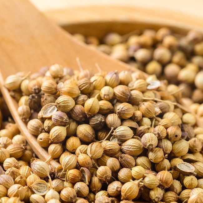 コリアンダー（ホール）100g - Coriander Wholeの写真スパイス, ハーブ, 香辛料, エスニック料理, アジア食材, カレー, 本格スパイス, スパイス料理,, スパイス初心者, 世界のスパイス,  香り豊か, 手作りカレー, インドカレー、パキスタンカレー