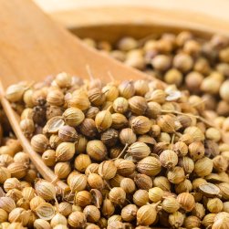 【100g】コリアンダー(ホール) - Coriander Whole(ID-SPC-1097)