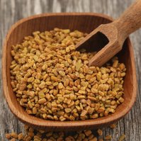 〔新入荷記念セール〕【100g】フェヌグリーク(ホール) - Fenugreek Whole