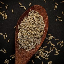 【100g】シャヒジーラ - Shahi Cumin Seed(ID-SPC-1102)