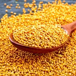 【150g】イエローマスタードシード - Yellow Mustard Seed(ID-SPC-1104)