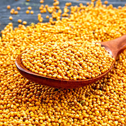 イエローマスタードシード 150g - Yellow Mustard Seedの画像