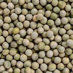 乾燥グリーンピース 200g - Green Peas