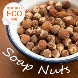 ソープナッツ - インドの天然エコ洗剤&石鹸(Aritha)[250g]