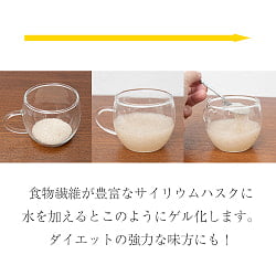【3個セット】サイリウム ハスク - インド伝統のアーユルヴェーダ食 Ispaghol  - サブ3
