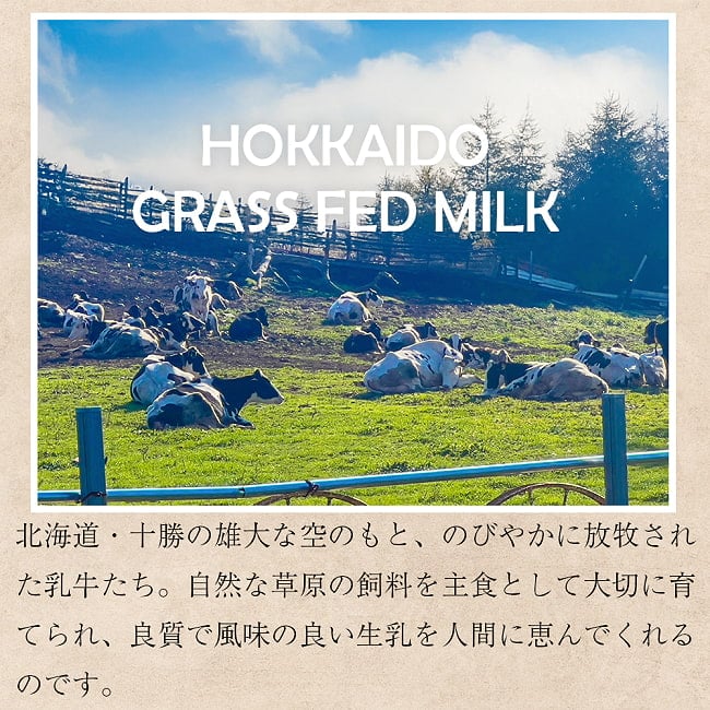 【5個セット】お湯を注ぐだけ！インスタントマサラチャイ 国産 HOKKAIDO MASALA CHAI  たっぷり250g グラスフェッド 8 - 自然豊かな北海道で放牧酪農された乳牛の良質なミルクが使われています。