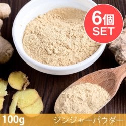 【6個セット】【100g】ジンジャーパウダー - Ginger Powder