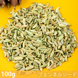 【送料無料・5個セット】【100g】フェンネルシード - Fennel Seed - サブ2