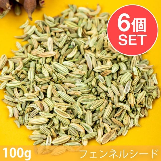 【6個セット】【100g】フェンネルシード - Fennel Seedの写真セット,フェンネルシード,Fennel Seed,スパイス, ハーブ, 香辛料, エスニック料理, アジア食材, カレー, 本格スパイス, スパイス料理, スパイス初心者, 世界のスパイス,  香り豊か, 手作りカレー, インドカレー,パキスタンカレー