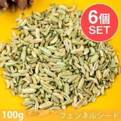 【6個セット】【100g】フェンネルシード - Fennel Seed