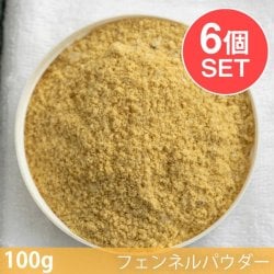【6個セット】【100g】フェンネルパウダー - Fennel Powder