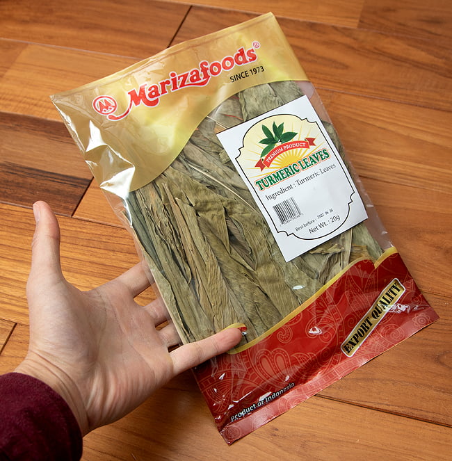 【6個セット】ターメリック (ウコン)の葉っぱ - DAUN KUNYIT【MARIZA FOODS】 6 - サイズ比較のために手に持ってみました