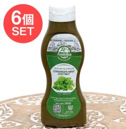 【6個セット】コリアンダー ミント チャツネ - CORIANDER MINT DHUTNEY[190g]の商品写真