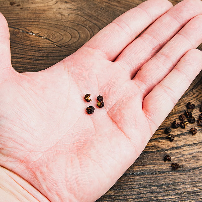 【50g x 4個セット】【高品質】ヒマラヤ山椒 - ティムール（Timmur） 5 - 一粒づつはこのような大きさです。