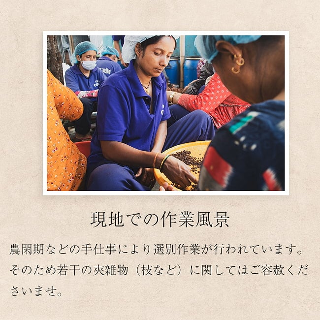 【50g x 4個セット】【高品質】ヒマラヤ山椒 - ティムール（Timmur） 8 - 農閑期などの手仕事により選別作業が行われています。そのため多少の夾雑物（枝など）に関してはご容赦くださいませ。