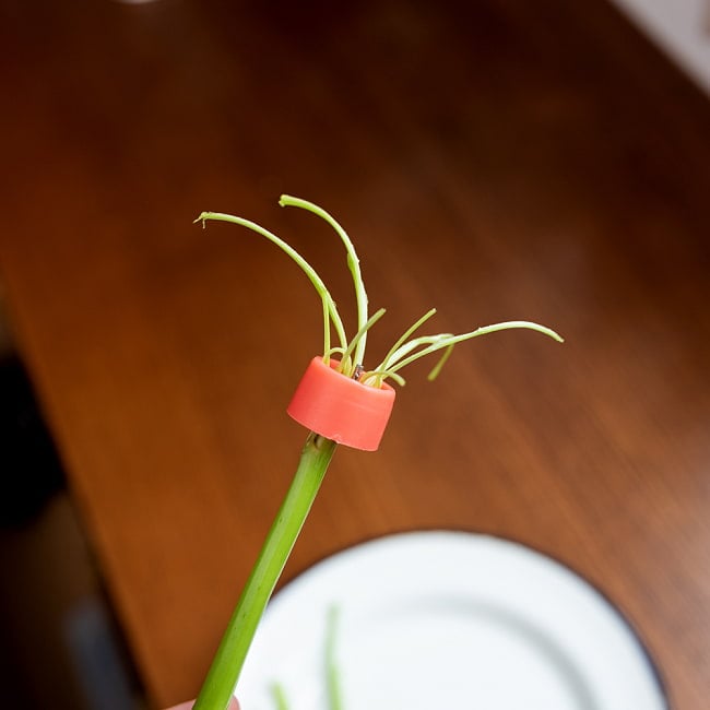 ベトナムの空芯菜カッター　空芯菜など細切りに！空芯菜サラダがすぐ作れる 4 - このように食べやすいサイズに分かれてでてきます。