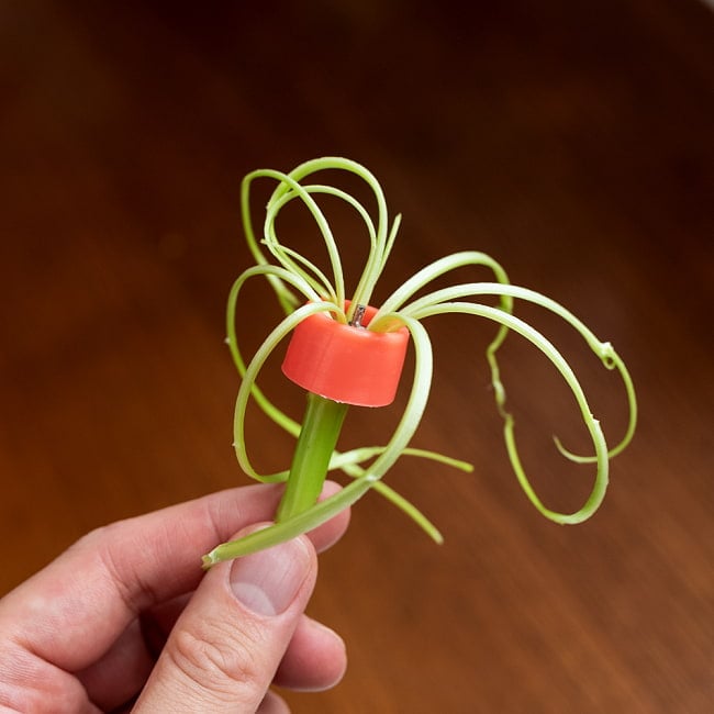 ベトナムの空芯菜カッター　空芯菜など細切りに！空芯菜サラダがすぐ作れる 5 - 押すとどんどん出てきます