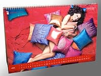 YashRaj社のインド俳優カレンダー[2008年度版]の商品写真
