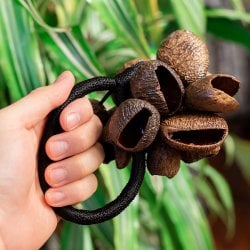 ガラガラ ブレスシェイカー パンギの木の実