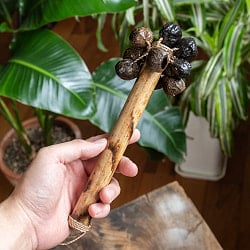 カラカラシェイカー　硬い木の実のやさしい音色 - サブ2